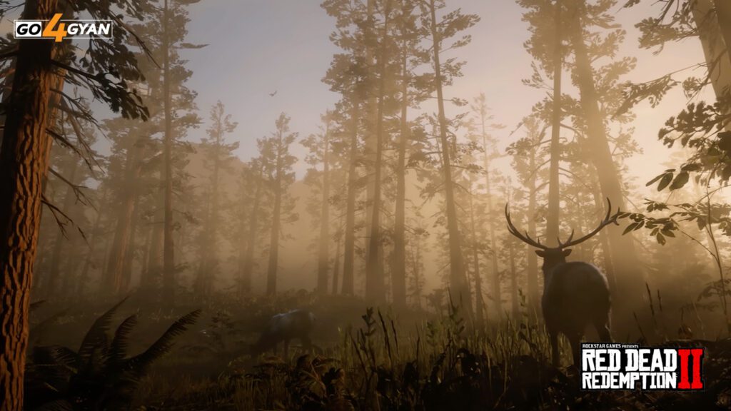 RDR2 map locations and secrets